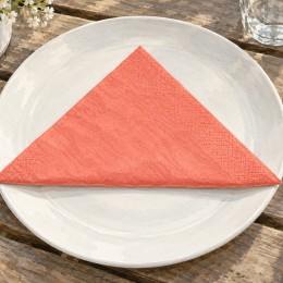 Illustration d’une serviette corail pliée en triangle à plat sur une assiette blanche.