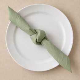 Serviette vert sauge nouée au milieu, deux extrémités libres, posée sur une assiette blanche.